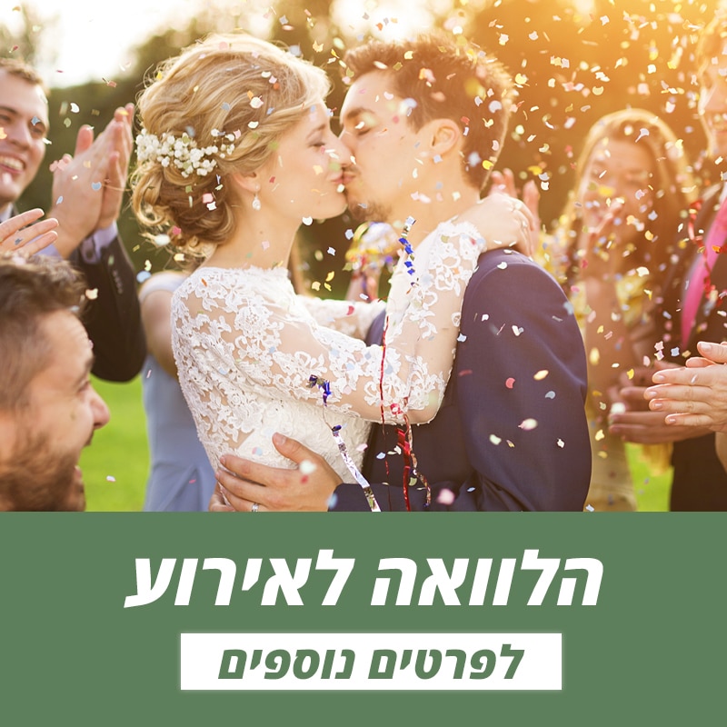 באנר לאתר loan4all