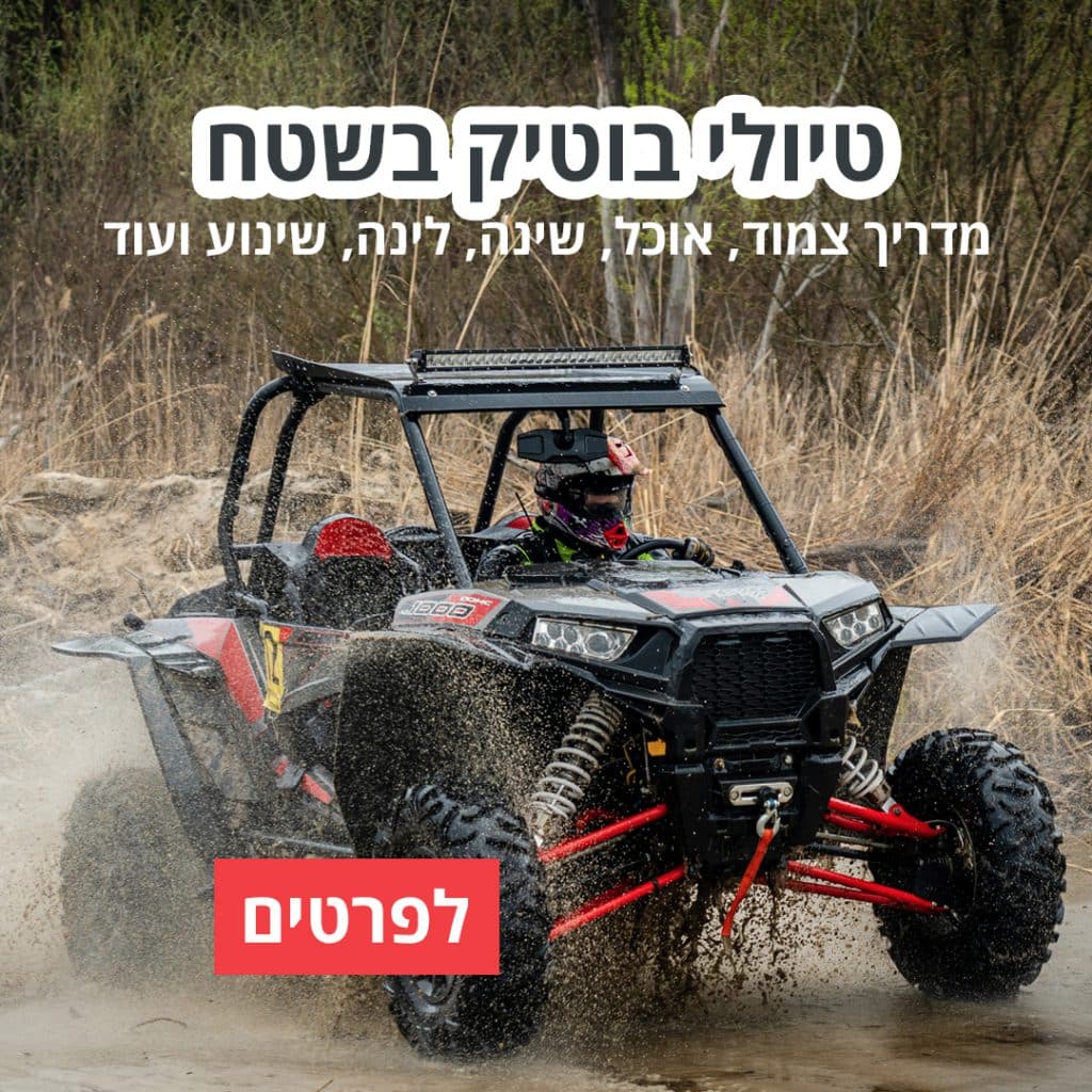 רייזרים בצפון